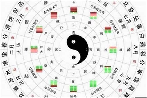 命格麒麟|麒麟命格八字解析：如何通过八字揭示个人命运的奥秘